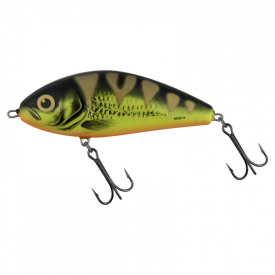 Salmo Fatso 14F - Mat Tiger