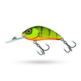 Hot Perch