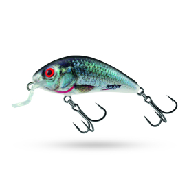 Holographic Real Dace