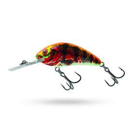 Holo Red Perch