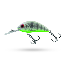 Ghost Perch