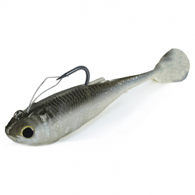 Gizzard Shad