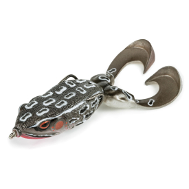 Grey Frog