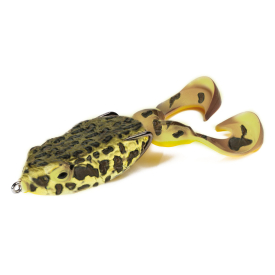 Northen Snakehead