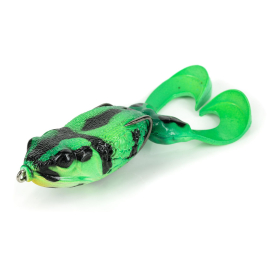 Poison Dart Frog