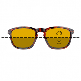 Fortis Eyewear Strokes, Switch