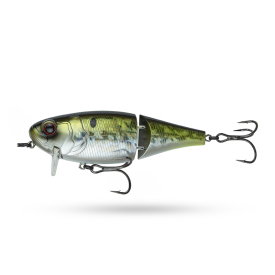 6th Sense Speed Wake 100 - American Shad