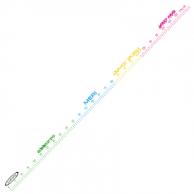 Vision Fish Measure Sticker