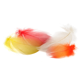 Mallard Barred Flank Large Select