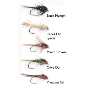 Nymphs Weighted 5-pack