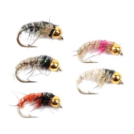 Gold Head Czech Nymphs 5-pack