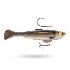 Z-man Swag LT 6'' - Gizzard Shad