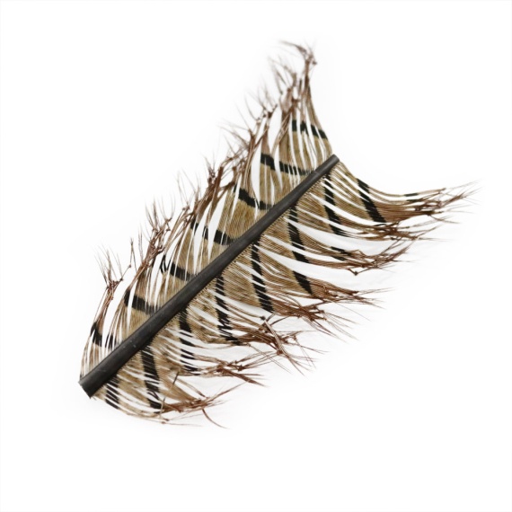 Semperfli Knotted Pheasant Tail i gruppen Krok & Småplock / Flugbindning / Flugbindningsmaterial / Fjädrar & Nackar / Övriga Fjädrar hos Fishline (sem-pt-knot)