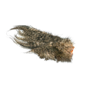 Whiting Bird Fur