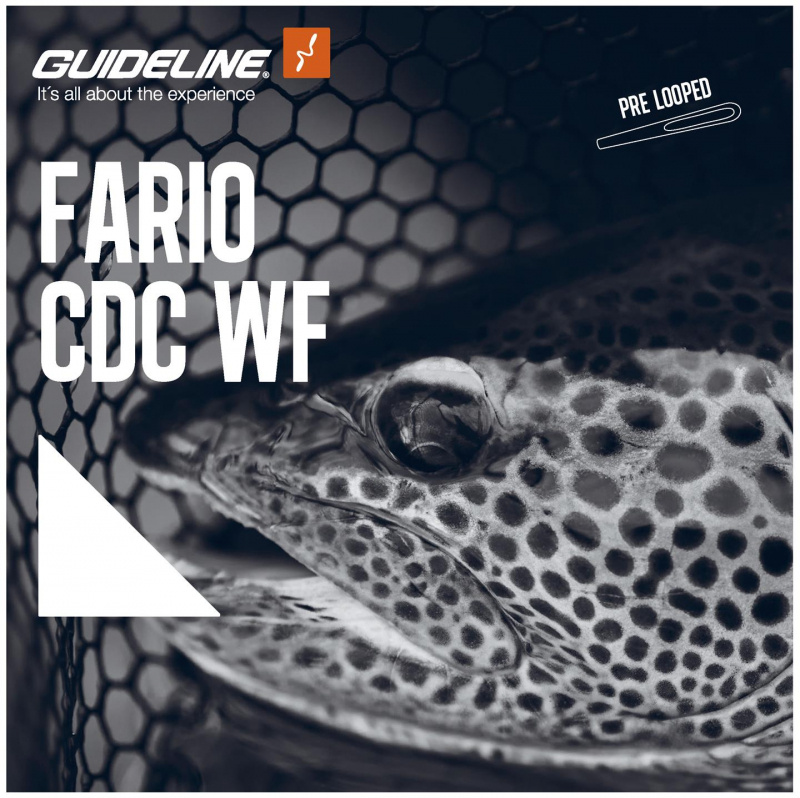 Guideline Fario CDC WF