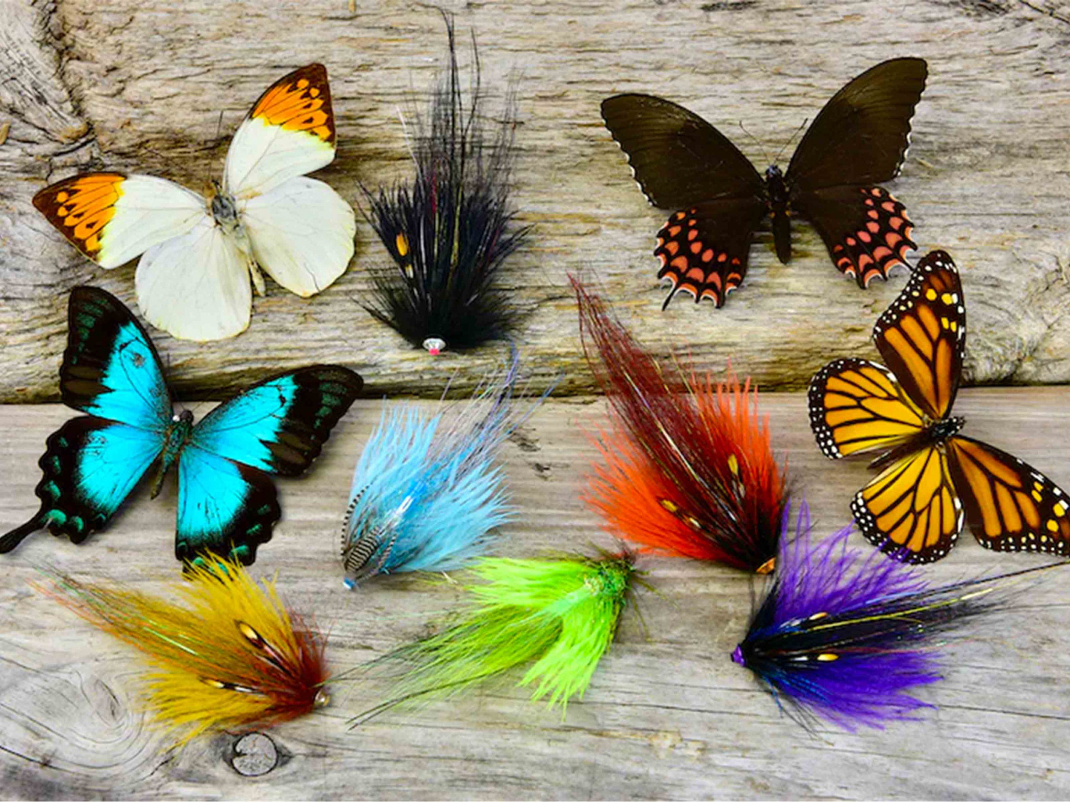 Frödin Butterfly Series - Fiery Brown