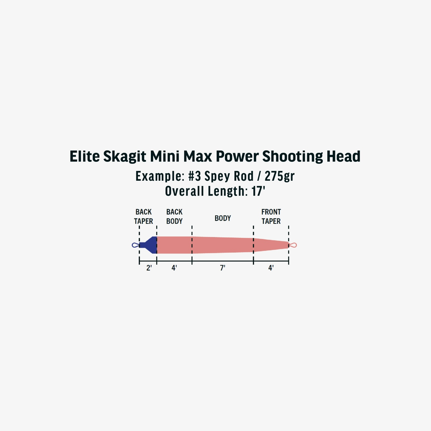 Rio Elite Skagit Mini Max Power SHD